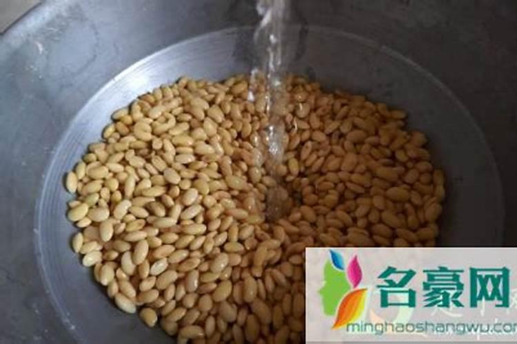 黄豆水发酵变臭怎么浇花
