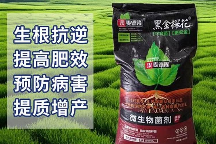 全国最大腐植酸生产厂家