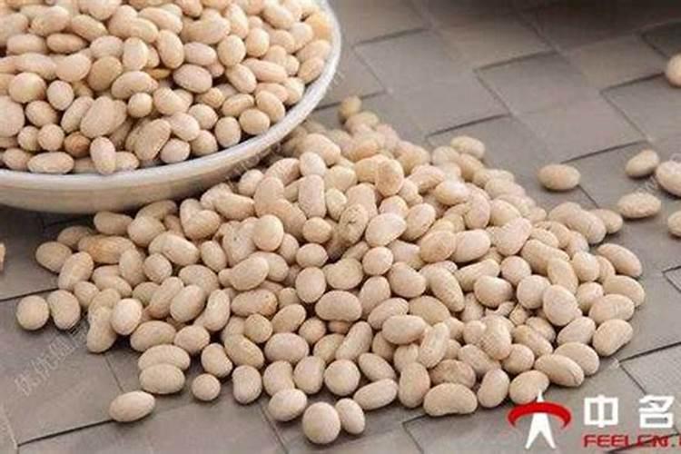 芸豆的需肥规律是什么？如何正确施肥？