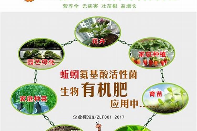 蚯蚓粪适合种什么花 蚯蚓粪适合当哪些花卉的肥料呢