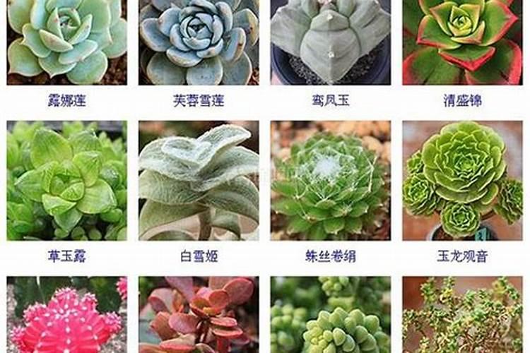 在哪种店里能买到PH试纸啊？就是那种试酸碱度的纸