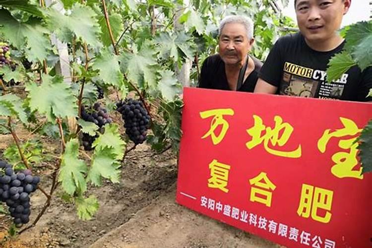 各种肥料的肥效期多长