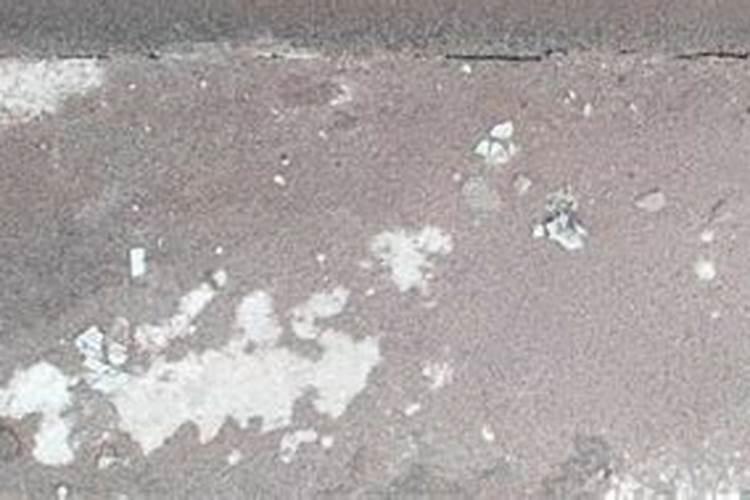 河南新乡地区适合种植枸杞吗？