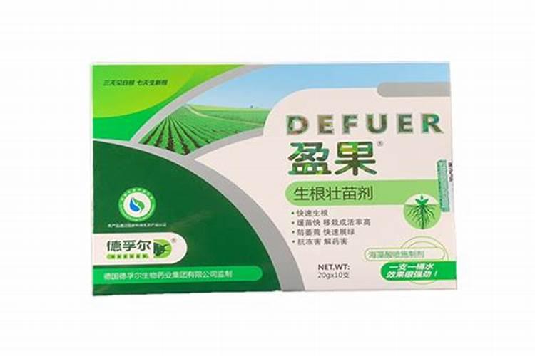 苦瓜苗能养化肥吗