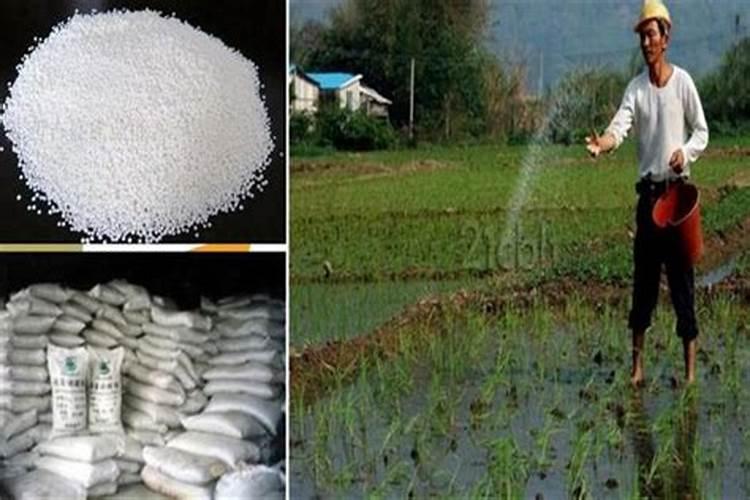 如何提高氮肥磷肥钾肥的利用率