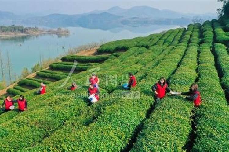 孕妇怎么补钙见效快 推荐2种见效最快的方法