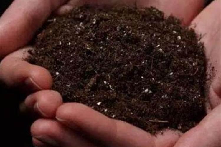 鱼蛋白对植物的作用
