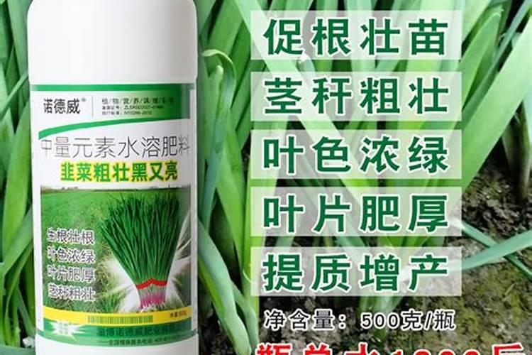 种韭菜用什么肥料最好