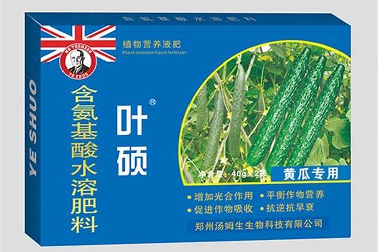 土豆主要成份是什么？有什么营养价值？