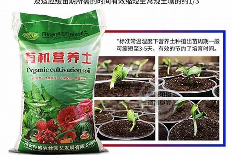 玉米用什么含量的肥料