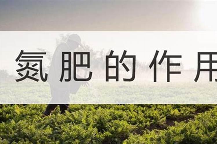 多肉植物可以施氮肥吗 多肉植物能施氮肥吗