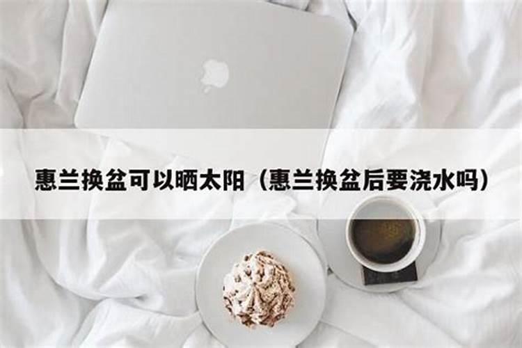 蕙兰花谢了 怎么处理