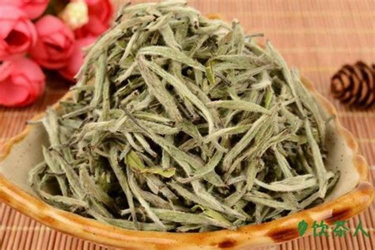 种植茶叶要注意的事项