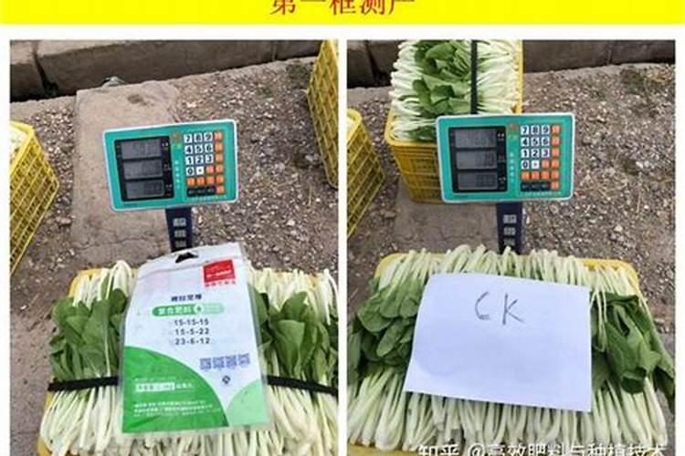 出口蔬菜用什么样的肥料追肥好？