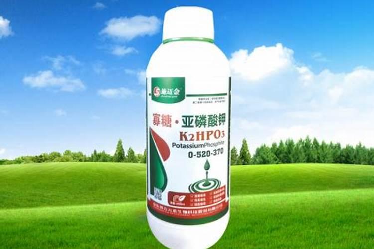 肥水系列有哪些