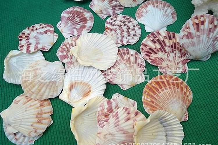 怎样自制花肥料,家庭养花用什么肥料好给花施肥用什么肥料