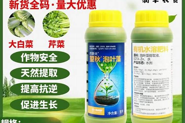 白菜用什么肥料长得快