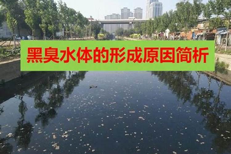 池塘水发黑快速处理方法