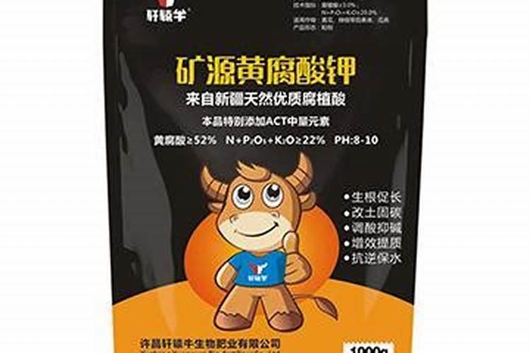 槟榔施什么肥最好