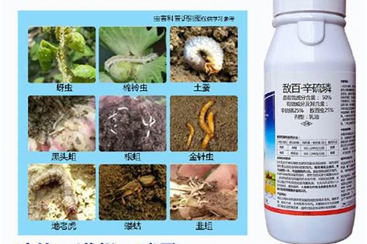 哪些农药不能用