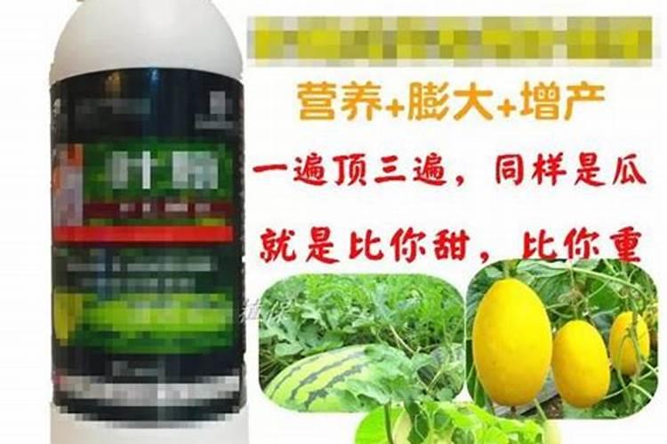 西瓜坐果后该施什么肥料？