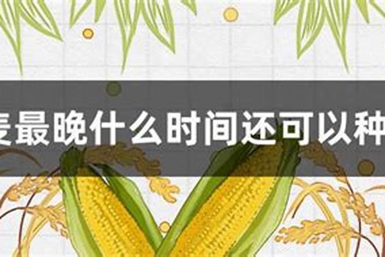 小麦追肥的最佳时期在什么时候