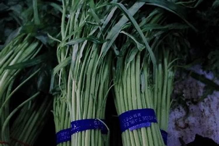 小白菜栽培要喷什么叶面肥品质才好