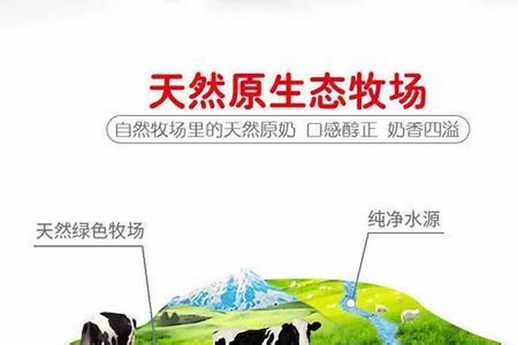 过期的酸奶可以浇花吗浇什么花