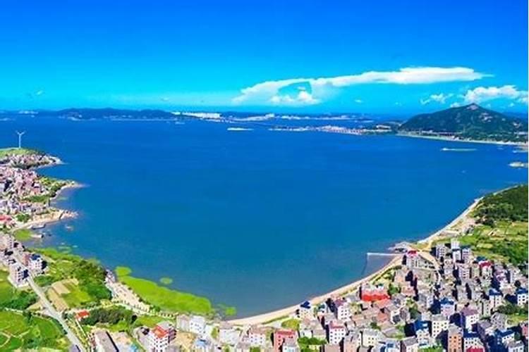 窗台种菜用什么肥料