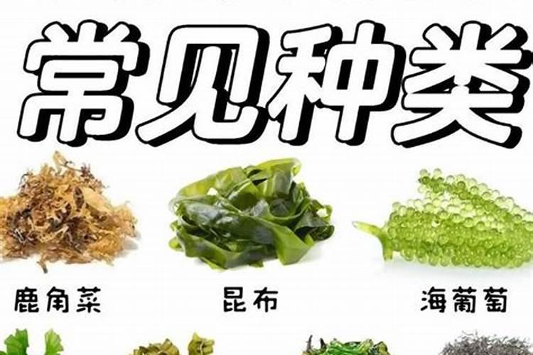 海藻肥的功效与作用 海藻肥那个品牌的好？