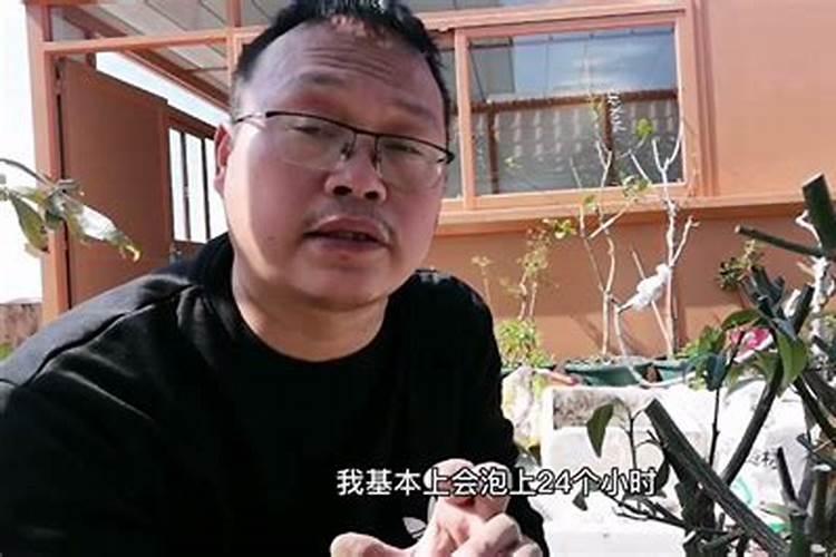 刚移植的树苗喷什么提高成活