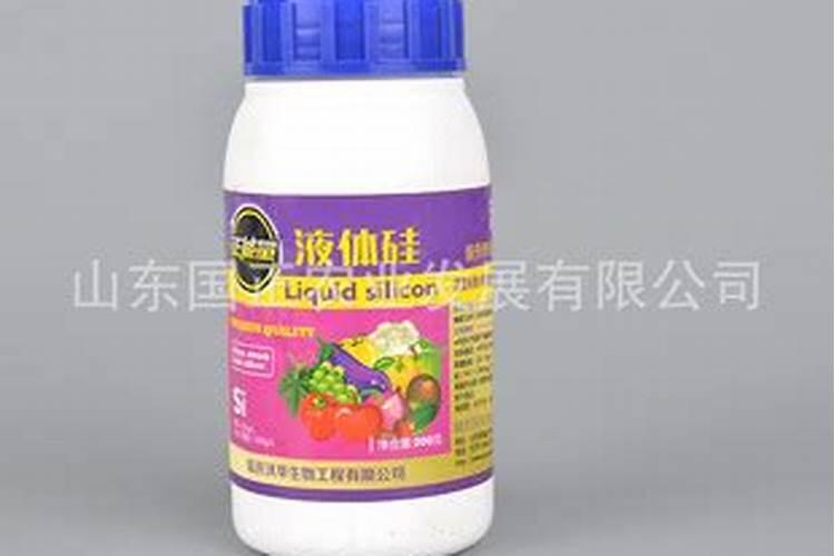 钙镁肥什么时候用最好