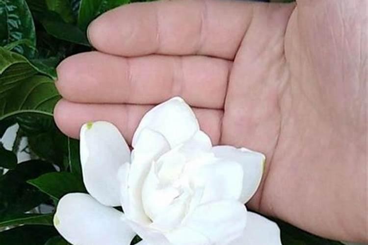 氮肥来自哪里