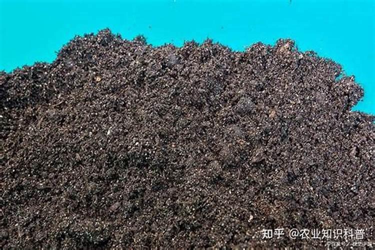 硅肥在不同植物上的应用