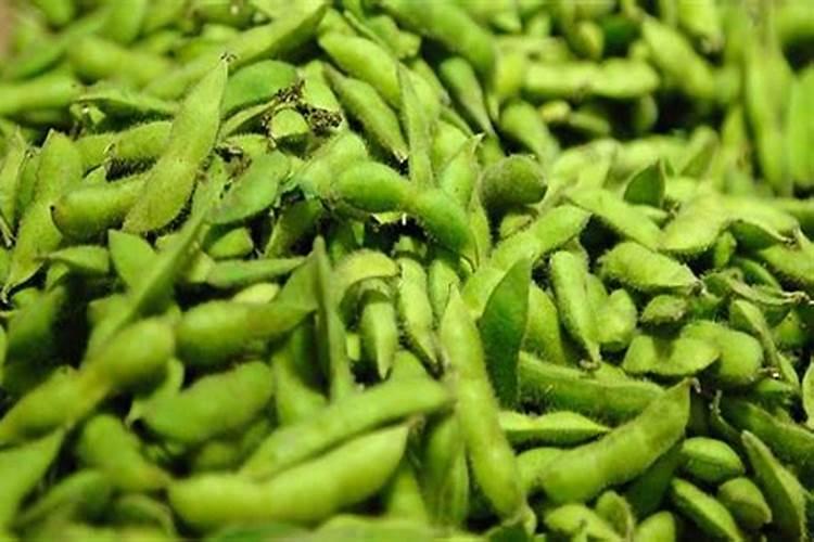 毛豆的施肥方法