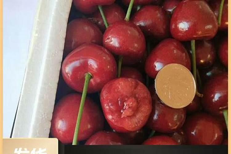 种樱桃树用什么肥料？
