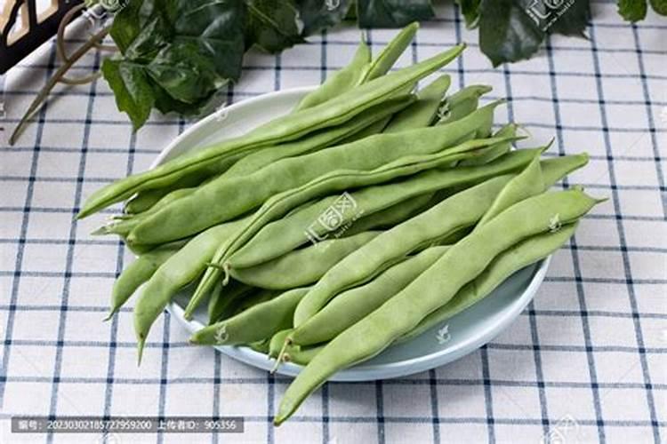 芸豆施什么肥长得最好芸豆怎么施肥