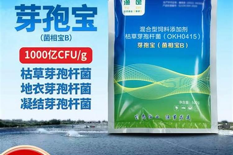 复合芽孢杆菌能和肥水膏一起用吗？