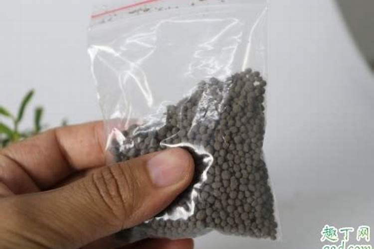 生根粉直接撒土里浇水行吗生根粉是肥料吗