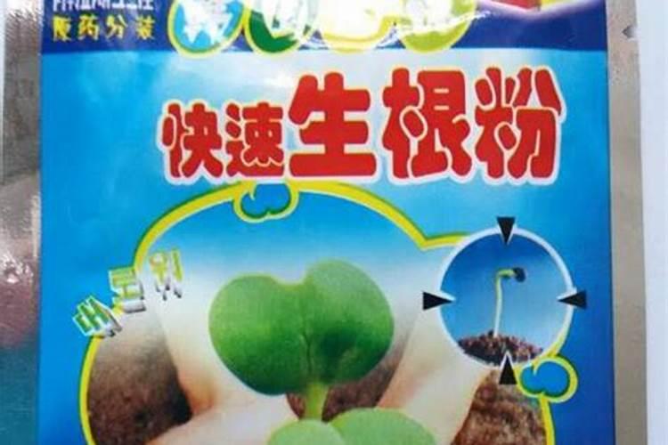 生根粉直接兑水浇上可以吗