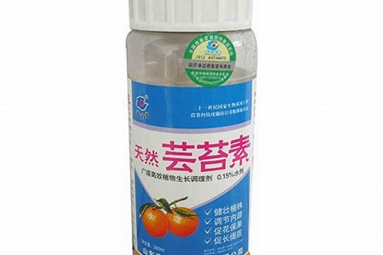 促花芽分化特效药 芸苔素+磷酸二氢钾的作用