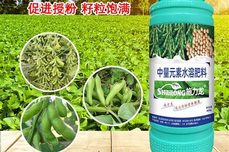 大豆结荚期用什么叶面肥