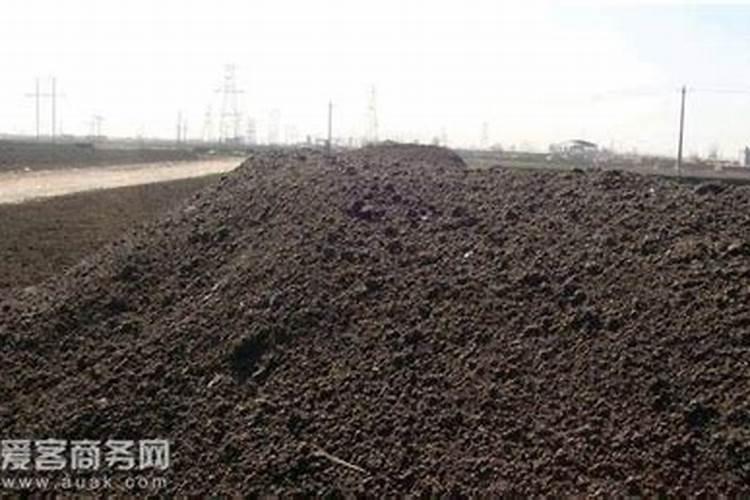 红薯施肥时用鸡粪、牛粪、羊粪各有什么区别？哪种更适合？