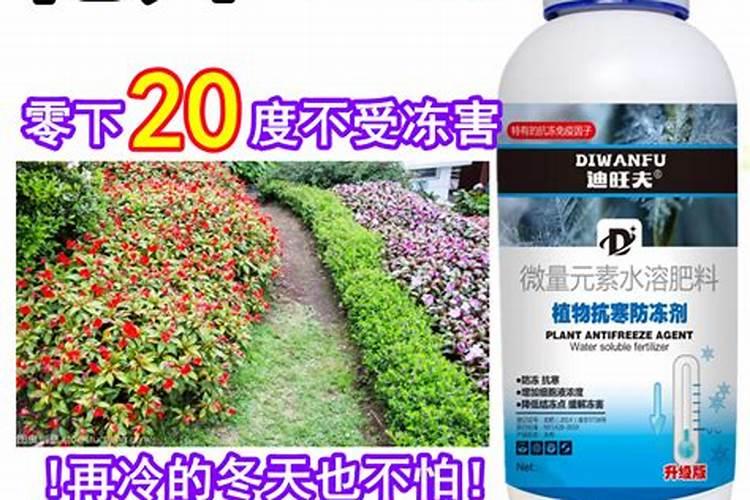 金桔树一年施一次磷肥可以吗？