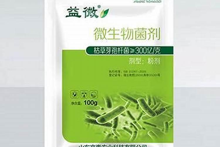 油菜施什么样的硼肥最好