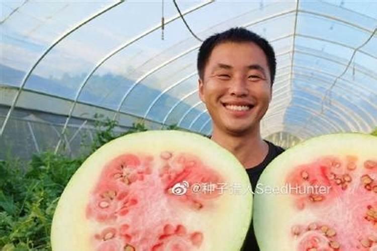 西瓜怎么施肥
