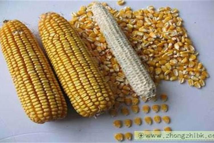 玉米叶面肥配方