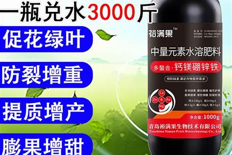 月季疯长不开花什么原因