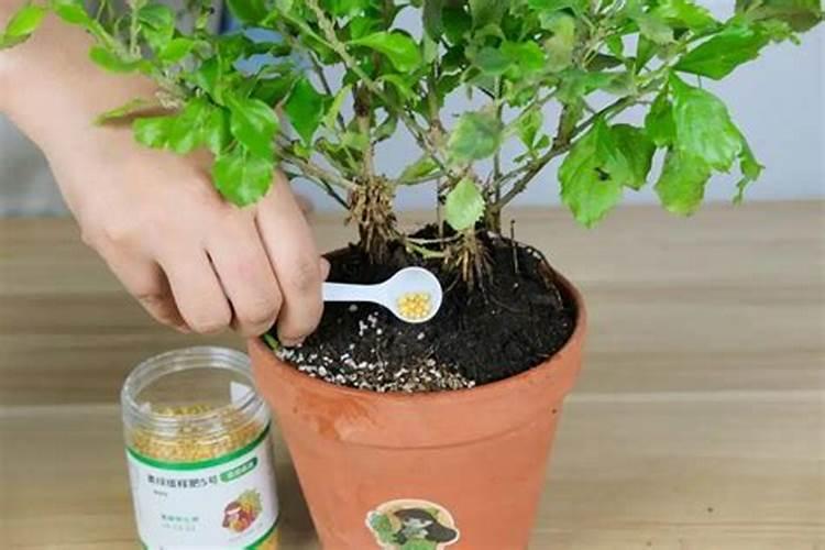 请问良田科技客服电话是什么？