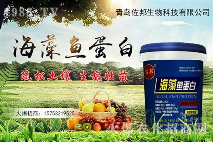 鱼蛋白放多了会烧根吗